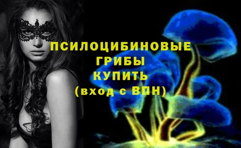 Галлюциногенные грибы Psilocybine cubensis  где найти наркотики  Инза 